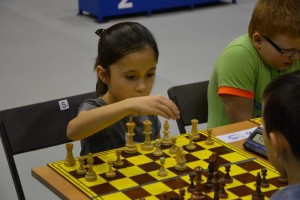 132-DSC 0132