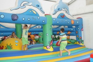 DSC01194